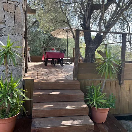 Les Bergeries De Petralonga 펜션 *